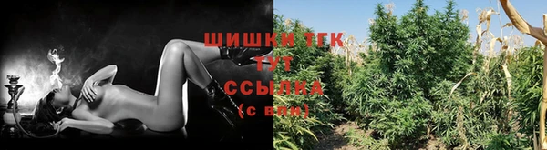 соль ск Нея