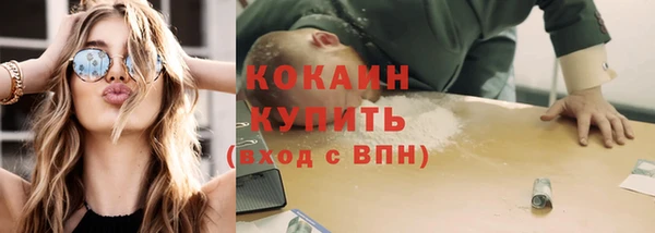 соль ск Нея