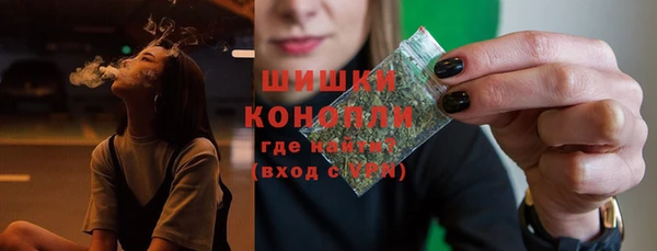 индика Нефтекумск