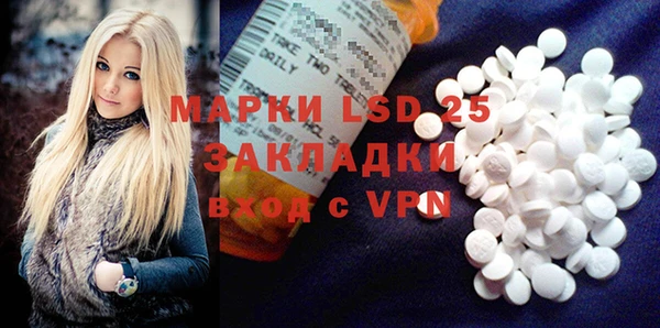 индика Нефтекумск