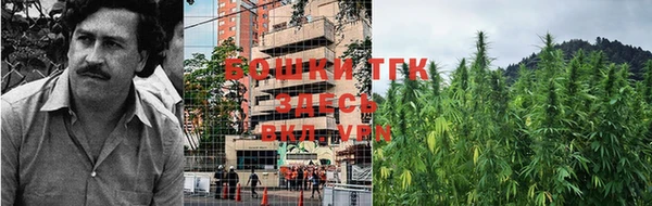 индика Нефтекумск