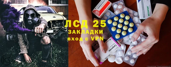 индика Нефтекумск
