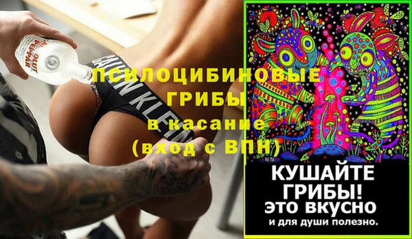 соль ск Нея