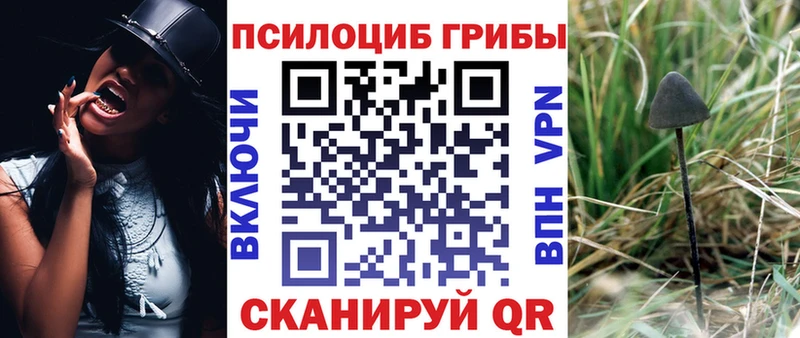 закладки  Свирск  Псилоцибиновые грибы ЛСД 